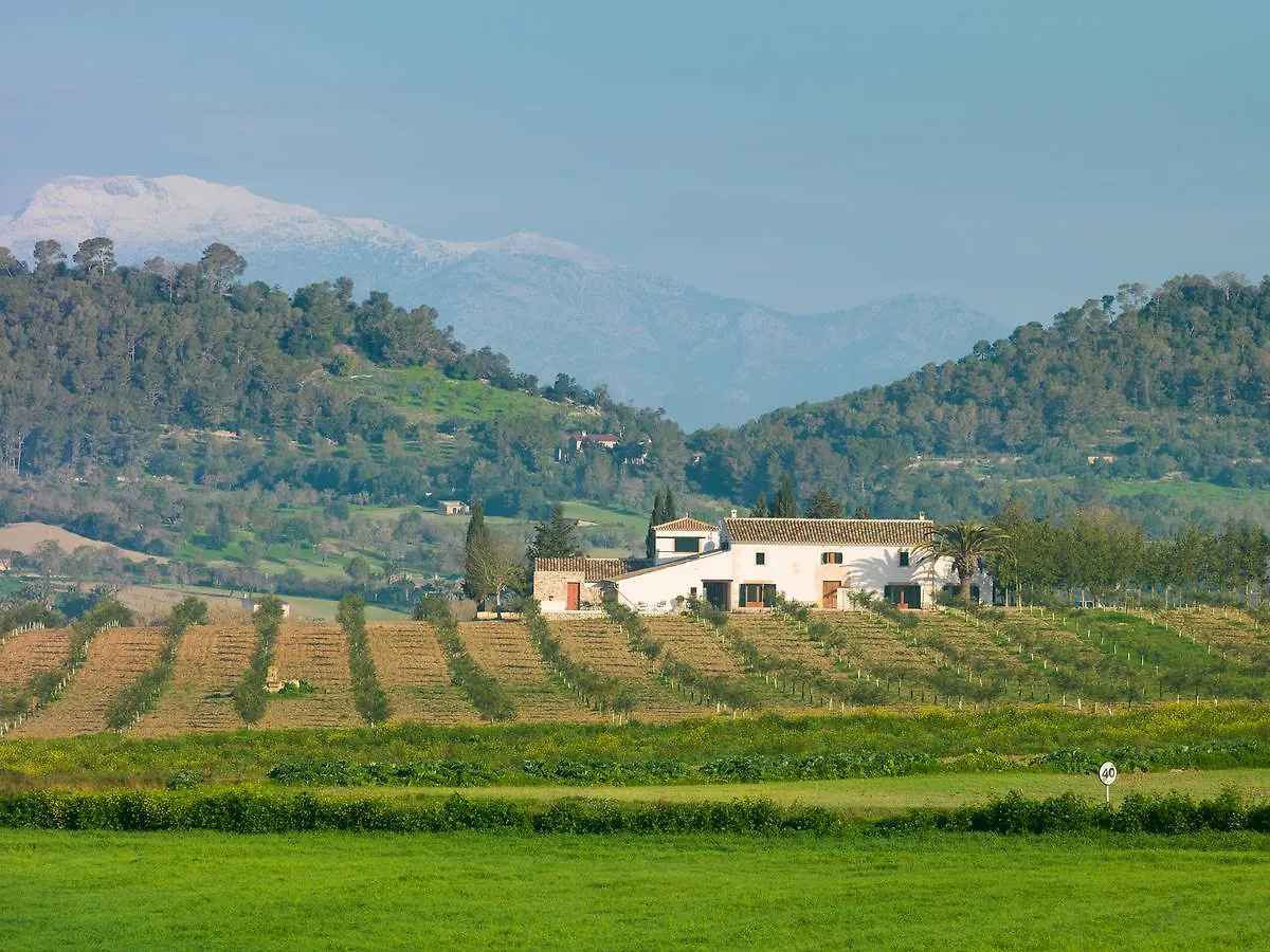 Farm stay Agroturisme Gossalba Sant Joan