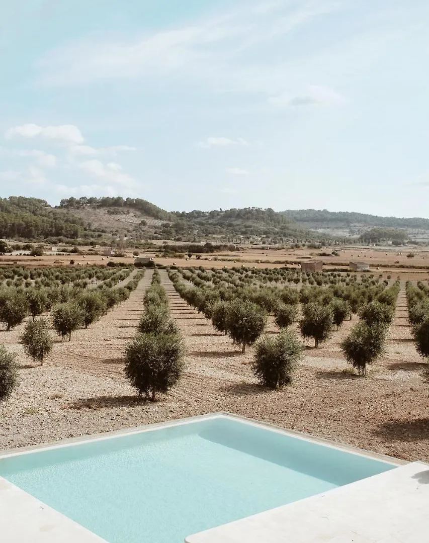 Agroturisme Gossalba Sant Joan Gospodarstwo agroturystyczne